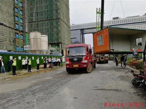 树林内隐藏的5个集装箱 竟出动100人城管 5台运输车 2台吊车